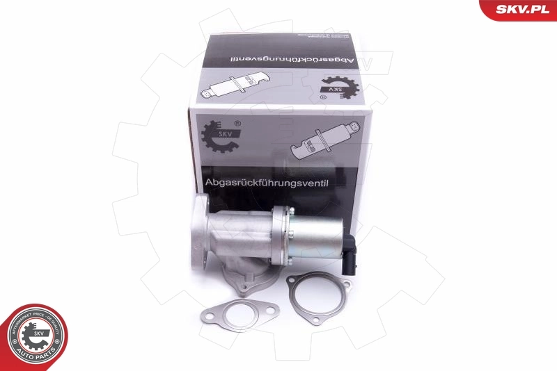 EGR Valve